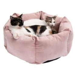 Cama Manila Para Mascotas -Paws Tienda 235399 manila katze fg 0440 3