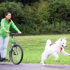 Correa De Bolsillo Curli Ultrarresistente -Paws Tienda 267896 267897 ultrastarke taschenleine hs 07 2