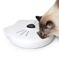 Comedero Automático Catit Pixi Smart 6-Meal -Paws Tienda 287496 hagencontainer catit pixi smart 6meal futterautomat hs 11 2