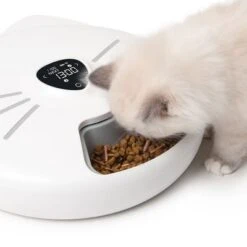 Comedero Automático Catit Pixi Smart 6-Meal -Paws Tienda 287496 hagencontainer catit pixi smart 6meal futterautomat hs 12 6