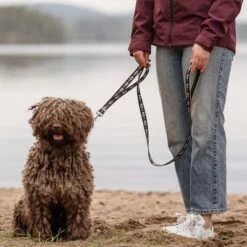 Correa Ajustable Hurtta Bare Carbón Para Perros -Paws Tienda 288348 hurtta bare verstellbare fuehrleine coal hs 02 1