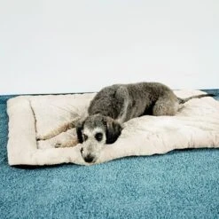 Self Heating Bed Cojín Para Perros -Paws Tienda 288354 291896 waagenschmitt hundekissen selfheating bed hs 08 3