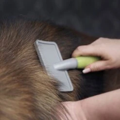 Carda Grande Moser Para Mascotas -Paws Tienda 289696 moser grosse zupfbuerste hs 02 6