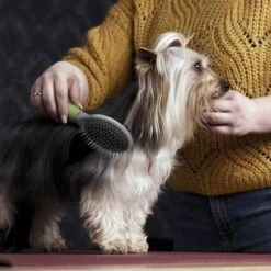 Cepillo De Doble Cara Moser Para Mascotas -Paws Tienda 289796 moser beidseitige fellpflegebuerste hs 02 1