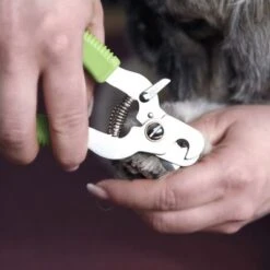 Cortaúñas Moser Para Mascotas -Paws Tienda 289896 moser krallenzange hs 02 8