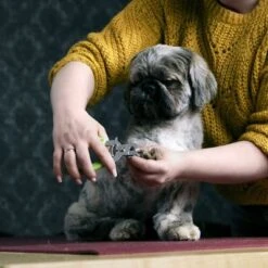 Cortaúñas Moser Para Mascotas -Paws Tienda 289896 moser krallenzange hs 03 6