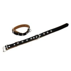 Collar De Cuero Heim Edelweiß Color Negro / Natural Para Perros -Paws Tienda 297015 heim halsband edelwei 25mm 50cm hs 06 5