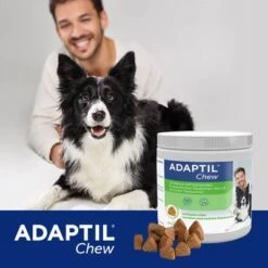 ADAPTIL® Chew Para Perros -Paws Tienda 302596 cevadeutschland adaptil chew hunde 30chews hs 06 6