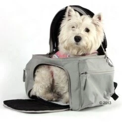 Trasportín Mochila Sightseeing -Paws Tienda 305015 will rucksack 7490 03 2013 8