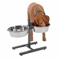 Soporte Ajustable Con 2 Comederos Incluidos -Paws Tienda 313523 kumar hundebar inklusive 2 edelstahln pfe 03 dsc5878 8