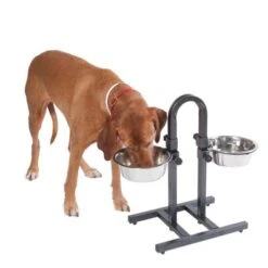 Soporte Ajustable Con Dos Comederos De 1,6 L -Paws Tienda 313525 u hundebar 05 dsc9197 9