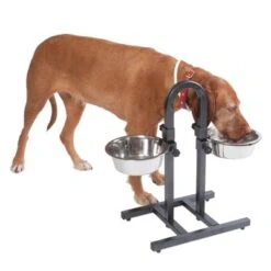 Soporte Ajustable Con Dos Comederos De 1,6 L -Paws Tienda 313525 u hundebar 06 dsc9199 3