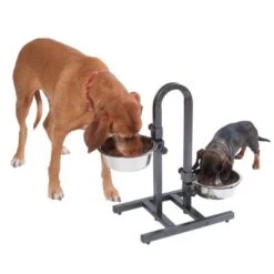 Soporte Ajustable Con Dos Comederos De 1,6 L -Paws Tienda 313525 u hundebar 07 dsc9203 5