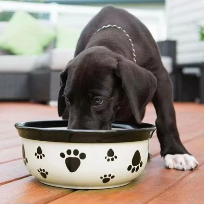 Vet's Best® Dental Refrescante De Aliento Para Perros 4 Vet's Best® Dental Refrescante De Aliento Para Perros - Imagen 2