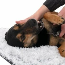 Manta TIAKI Cloud Para Mascotas -Paws Tienda 318000 tiaki hundedecke decke cloud hs 23 7