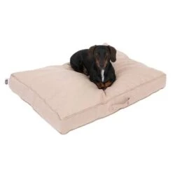 Colchón TIAKI Memory Foam Beige Para Perros -Paws Tienda 318697 tiaki hundematratze beige fg 5020 2