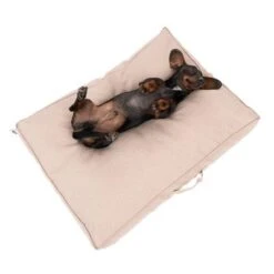 Colchón TIAKI Memory Foam Beige Para Perros -Paws Tienda 318697 tiaki hundematratze beige fg 5024 1