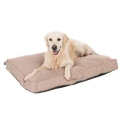 Colchón TIAKI Memory Foam Beige Para Perros -Paws Tienda 318698 mit hund fg 5093 8