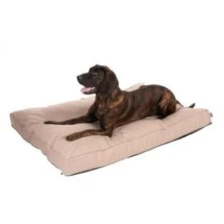 Colchón TIAKI Memory Foam Beige Para Perros -Paws Tienda 318699 mit hund fg 5104 1