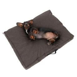 Colchón TIAKI Memory Foam Marrón Para Perros 32 Colchón TIAKI Memory Foam Marrón Para Perros -Paws Tienda 318700 tiaki hundematzratze braun fg 5058 5