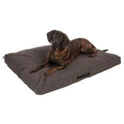 Colchón TIAKI Memory Foam Marrón Para Perros 25 Colchón TIAKI Memory Foam Marrón Para Perros -Paws Tienda 318702 mit hund fg 5116 0