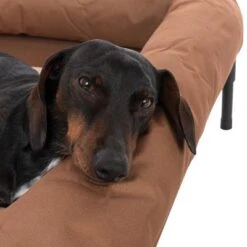 Sofá TIAKI Sun Cream Para Perros -Paws Tienda 320897 tiaki hundesofa sun cream fg 8401 8