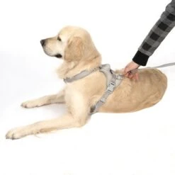 Arnés TIAKI Neoprene Gris Para Perros -Paws Tienda 323033 neoprene geschirr l fg 1703 5