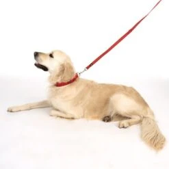 Correa Ajustable TIAKI Reflective Rubber Roja Para Perros -Paws Tienda 323199 soft save m fg 1630 5