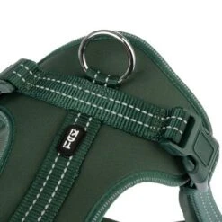Arnés TIAKI Neoprene Verde Para Perros -Paws Tienda 323698 neoprene geschirr xl fg 1526 4