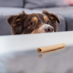 SmartBones Palitos Enrollados Con Pollo Para Perros -Paws Tienda 324401 smartsticks wrapped kausticks huhn stck hs 04 8