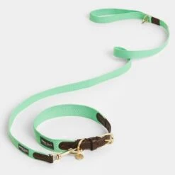 Collar Nomad Tales Bloom Menta Para Perros -Paws Tienda 326798 nomad tales bloom halsband mint 04 7