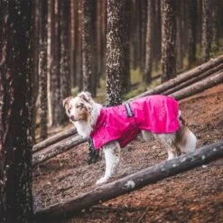 Chubasquero Rukka® Hase Rosa Para Perros -Paws Tienda 331996 331997 332096 332097 rukka regenmantel hase pink hs 05 0