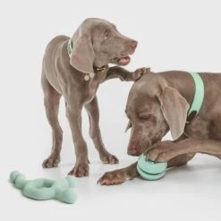 Pelota Portasnacks Nomad Tales Bloom Snack Roller Juguete Para Perros -Paws Tienda 333015 nomad tales snack ball 01 4