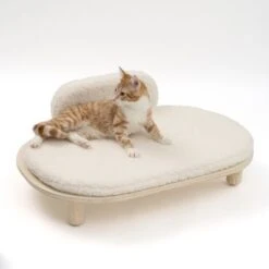 Sofá Osaka Modern Living Para Mascotas 26 Sofá Osaka Modern Living Para Mascotas -Paws Tienda 342803 modern living osaka katze 0629 4