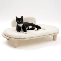 Sofá Osaka Modern Living Para Mascotas 20 Sofá Osaka Modern Living Para Mascotas -Paws Tienda 342803 modern living osaka katze 0649 1