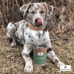 PAWS & PATCH Harina De Algas -Paws Tienda 346896 paws patch seealgenmehl 250g hs 02 0