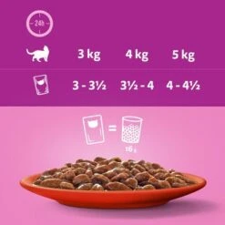 Whiskas 1+ Años 96 X 85 En Bolsitas 28 Whiskas 1+ Años 96 X 85 En Bolsitas -Paws Tienda 356096 mars sparpaket whiskas frischebeutel 48x85g hs 07 0