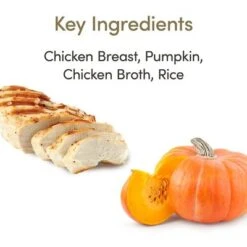 Applaws Selection 12 X 70g -Paws Tienda 361999 applaws huhn kurbis hs 02 5