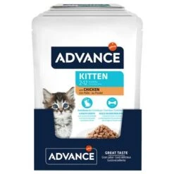 Advance Kitten Con Pollo Comida Húmeda Para Gatos -Paws Tienda 374500 advance kitten huhn 12x85g hs 02 7