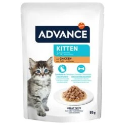 Advance Kitten Con Pollo Comida Húmeda Para Gatos -Paws Tienda 374500 advance kitten huhn 12x85g hs 04 6