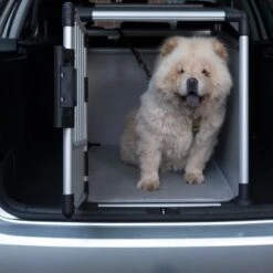 Jaula De Transporte Trixie De Aluminio 34 Jaula De Transporte Trixie De Aluminio -Paws Tienda 42815 trixie transportbox alu fg 3618 0