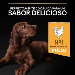 PURINA PRO PLAN Large Athletic Puppy Healthy Start -Paws Tienda 44142743 es es 221230 1 3