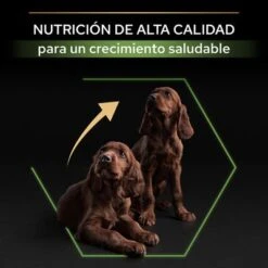PURINA PRO PLAN Large Athletic Puppy Healthy Start -Paws Tienda 44142743 es es 221230 1 3 5