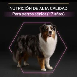 PURINA PRO PLAN Medium & Large Adult 7+ Age Defence -Paws Tienda 44152668 es es 221230 1 3 5