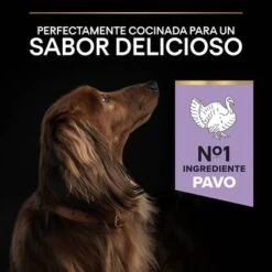 PURINA PRO PLAN Small & Mini Adult Sensitive Digestion Sin Cereales -Paws Tienda 44157647 es es 221230 1 5