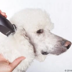 Máquina Cortapelo Moser Max50 -Paws Tienda 465281 schermaschine moser max 50 05 4