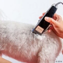 Máquina Cortapelo Moser 1400 -Paws Tienda 465374 schermaschine moser 1400 03 3