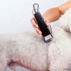 Máquina Cortapelo Moser 1400 -Paws Tienda 465374 schermaschine moser 1400 04 2