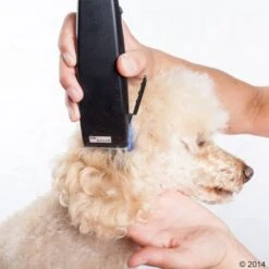 Máquina Cortapelo Moser Rex -Paws Tienda 465375 schermaschine moser rex 03 5