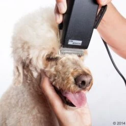 Máquina Cortapelo Moser Rex -Paws Tienda 465375 schermaschine moser rex 04 0